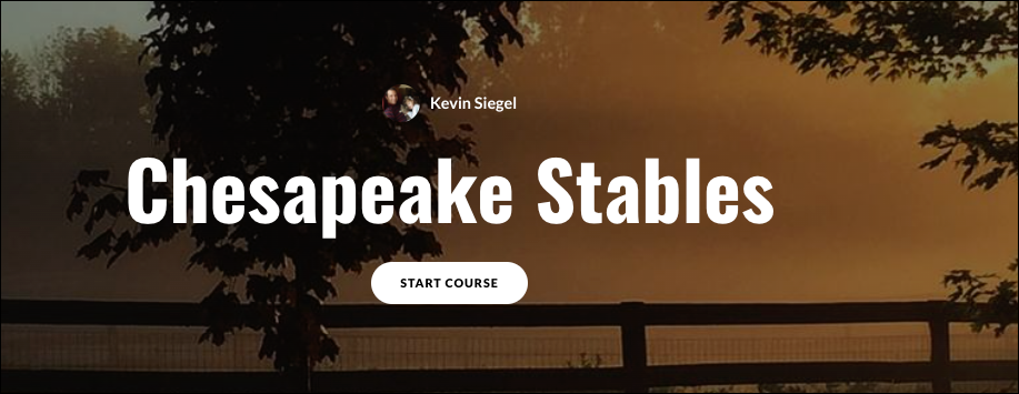 Articulate Rise 360 course